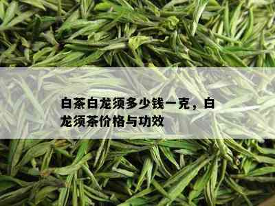 白茶白龙须多少钱一克，白龙须茶价格与功效