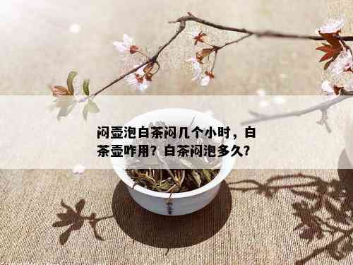 闷壶泡白茶闷几个小时，白茶壶咋用？白茶闷泡多久？