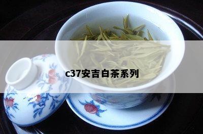 c37安吉白茶系列