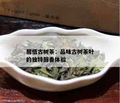 醒悟古树茶：品味古树茶叶的独特醇香体验