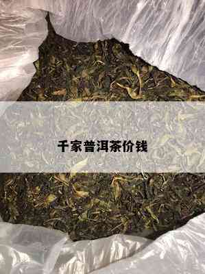 千家普洱茶价钱