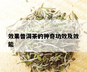 效果普洱茶的神奇功效及效能