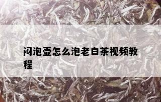 闷泡壶怎么泡老白茶视频教程