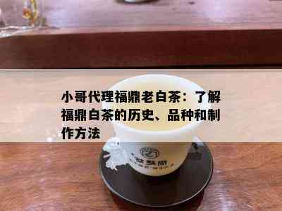 小哥代理福鼎老白茶：了解福鼎白茶的历史、品种和制作方法