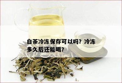 白茶冷冻保存可以吗？冷冻多久后还能喝？