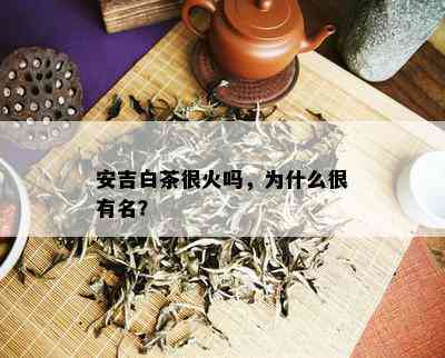 安吉白茶很火吗，为什么很有名？