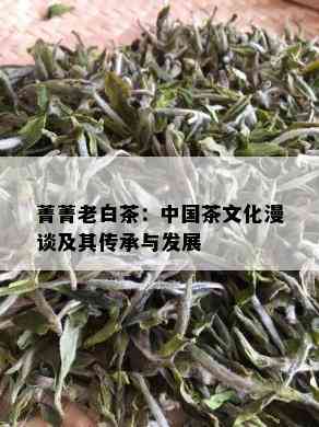 菁菁老白茶：中国茶文化漫谈及其传承与发展