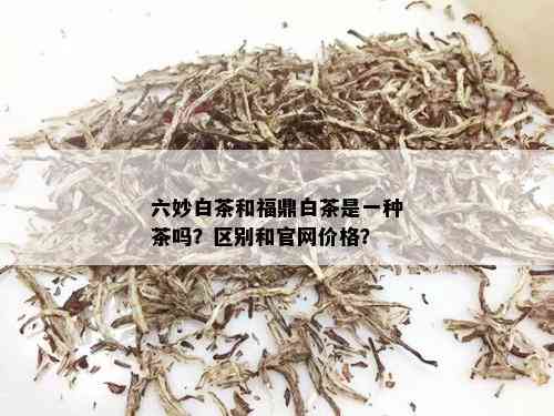 六妙白茶和福鼎白茶是一种茶吗？区别和官网价格？