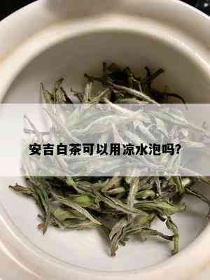 安吉白茶可以用凉水泡吗？