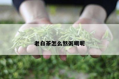 老白茶怎么熬粥喝呢