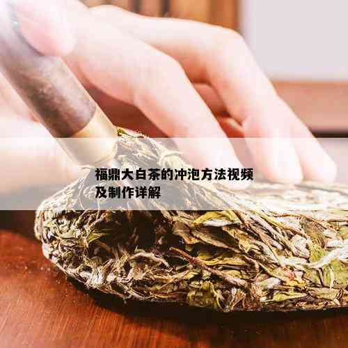 福鼎大白茶的冲泡方法视频及制作详解