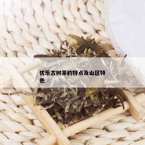 优乐古树茶的特点及山区特色