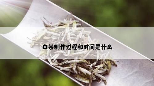 白茶制作过程和时间是什么