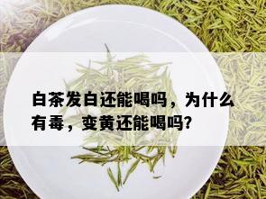 白茶发白还能喝吗，为什么有，变黄还能喝吗？