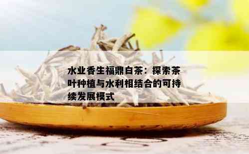 水业香生福鼎白茶：探索茶叶种植与水利相结合的可持续发展模式