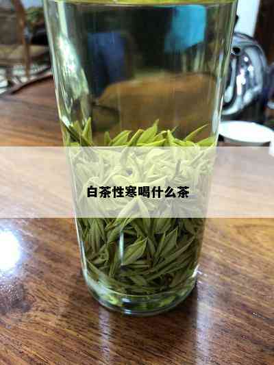 白茶性寒喝什么茶