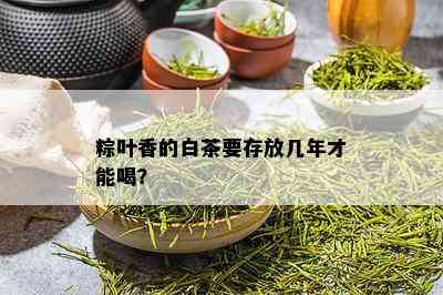 粽叶香的白茶要存放几年才能喝？