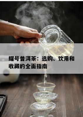 耀号普洱茶：选购、饮用和收藏的全面指南