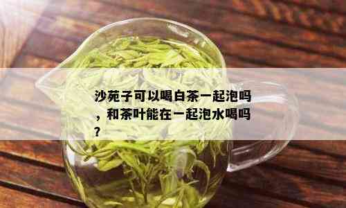 沙苑子可以喝白茶一起泡吗，和茶叶能在一起泡水喝吗？