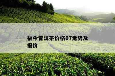 福今普洱茶价格07走势及报价