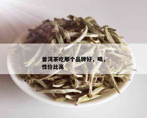 普洱茶吃那个品牌好，喝，性价比高