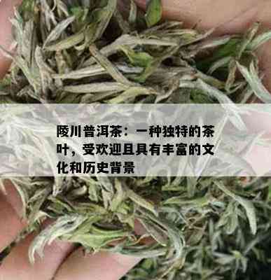 陵川普洱茶：一种独特的茶叶，受欢迎且具有丰富的文化和历史背景