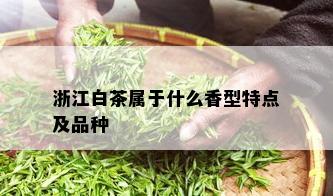 浙江白茶属于什么香型特点及品种