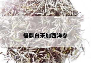 福鼎白茶加西洋参