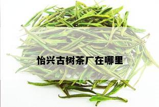 怡兴古树茶厂在哪里