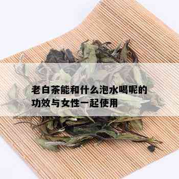 老白茶能和什么泡水喝呢的功效与女性一起使用