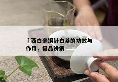 磻西白毫银针白茶的功效与作用，极品讲解