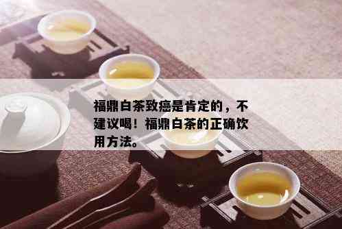 福鼎白茶致癌是肯定的，不建议喝！福鼎白茶的正确饮用方法。