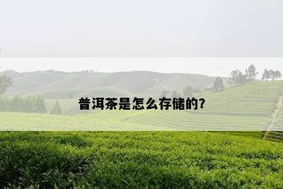 普洱茶是怎么存储的？