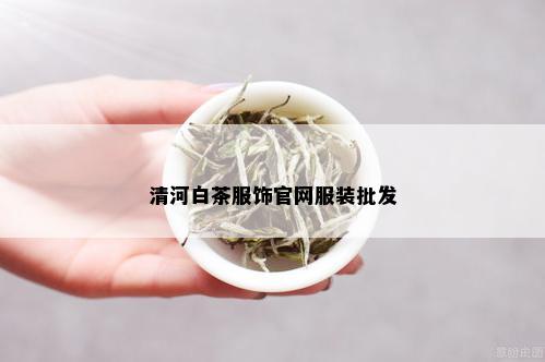 清河白茶服饰官网服装批发