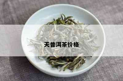 天普洱茶价格