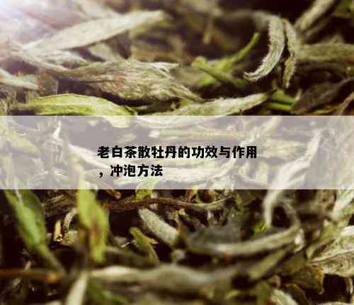 老白茶散牡丹的功效与作用，冲泡方法