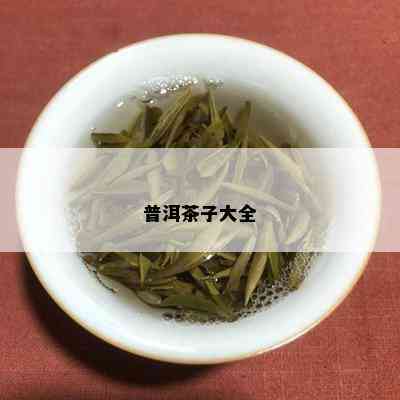 普洱茶子大全