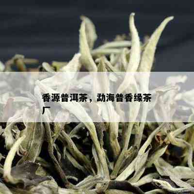 香源普洱茶，勐海普香缘茶厂