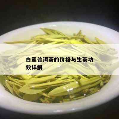 白莲普洱茶的价格与生茶功效详解