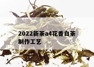 2022新茶a4花香白茶制作工艺