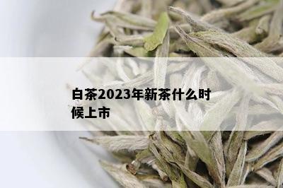 白茶2023年新茶什么时候上市