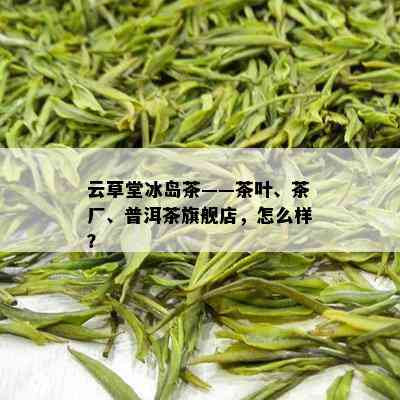 云草堂冰岛茶——茶叶、茶厂、普洱茶旗舰店，怎么样？