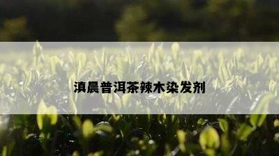 滇晨普洱茶辣木染发剂