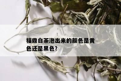 福鼎白茶泡出来的颜色是黄色还是黑色？