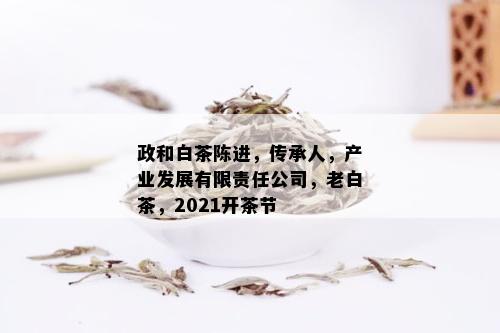 政和白茶陈进，传承人，产业发展有限责任公司，老白茶，2021开茶节