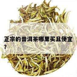 正宗的普洱茶哪里买且便宜？