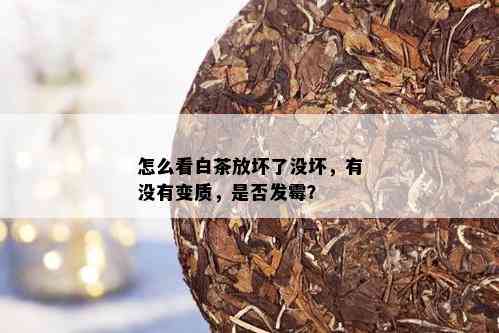 怎么看白茶放坏了没坏，有没有变质，是否发霉？