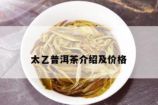 太乙普洱茶介绍及价格