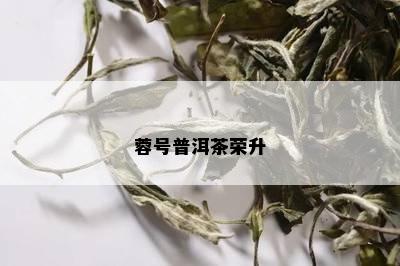 蓉号普洱茶荣升