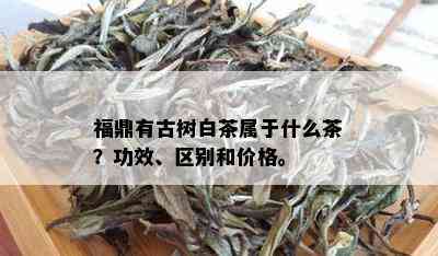 福鼎有古树白茶属于什么茶？功效、区别和价格。